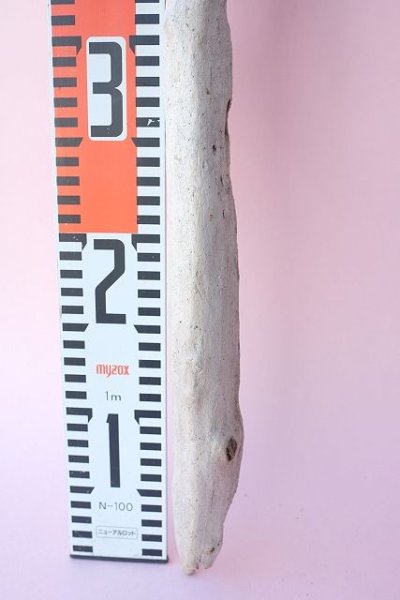 画像5: 変形流木 (5)