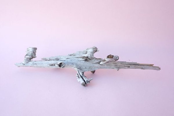 画像5: 小枝流木 (5)