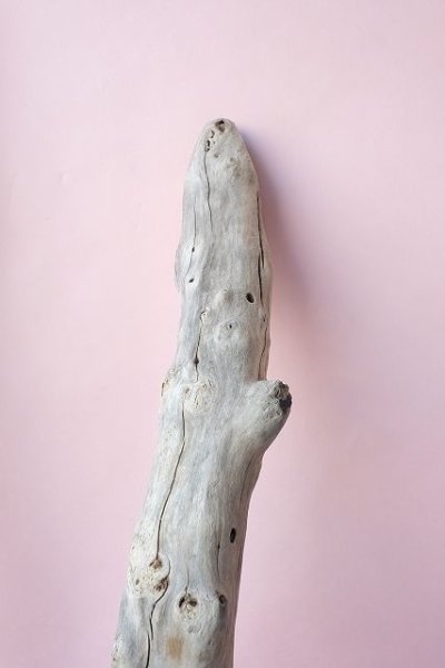 画像6: 流木根・中型 (6)