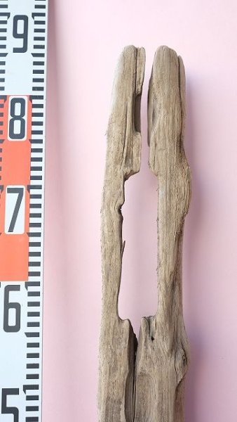 画像9: 変形流木 (9)