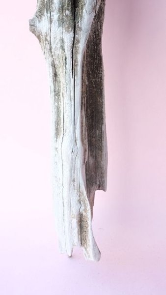 画像2: 変形流木 (2)