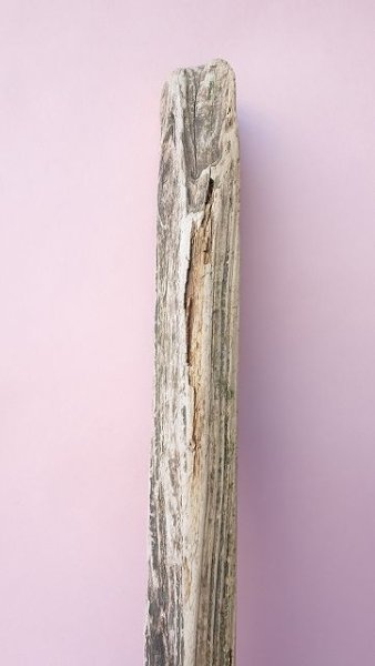 画像5: 板流木 (5)