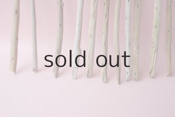 画像2: 棒流木セット (2)