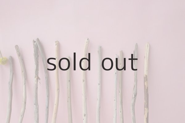 画像4: 棒流木セット (4)