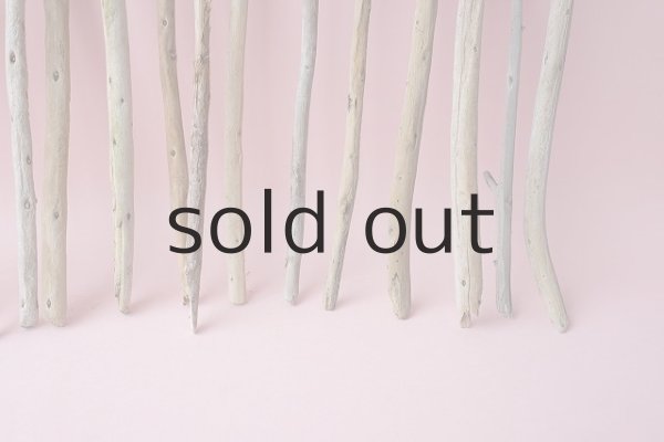 画像3: 棒流木セット (3)