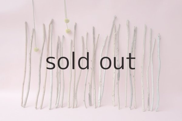 画像1: 棒流木セット (1)