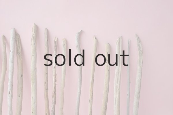 画像4: 棒流木セット (4)