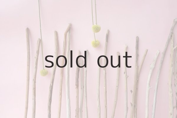 画像5: 棒流木セット (5)