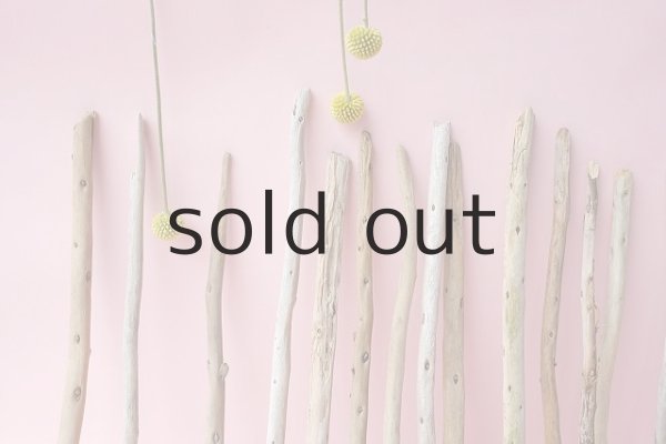 画像5: 棒流木セット (5)