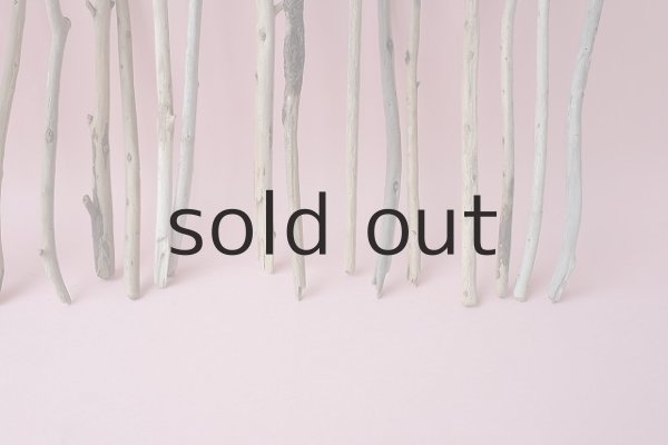 画像3: 棒流木セット (3)