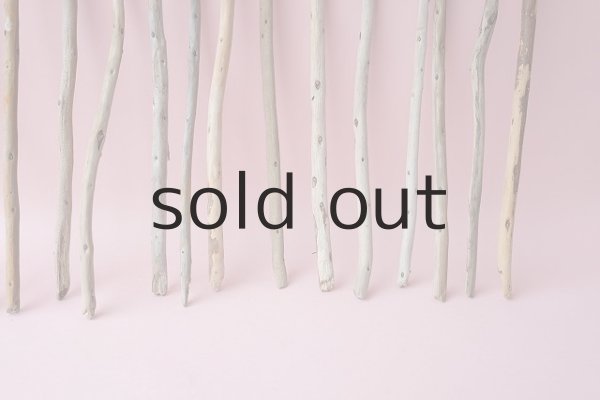 画像3: 棒流木セット (3)