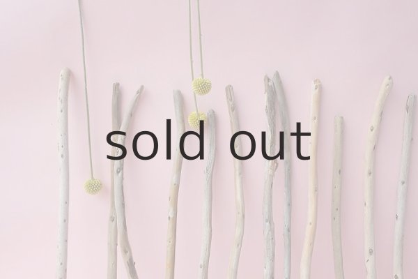 画像5: 棒流木セット (5)