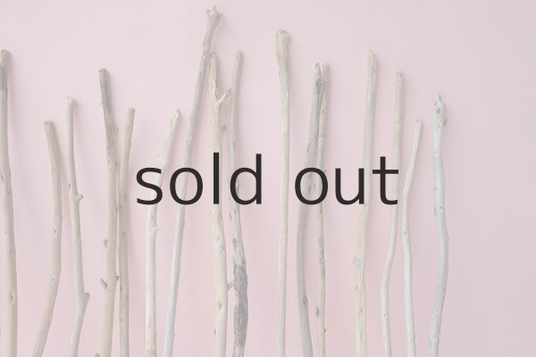 画像4: 棒流木セット (4)