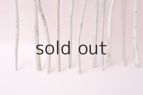 画像2: 棒流木セット (2)