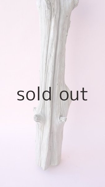 画像2: 枝流木 (2)