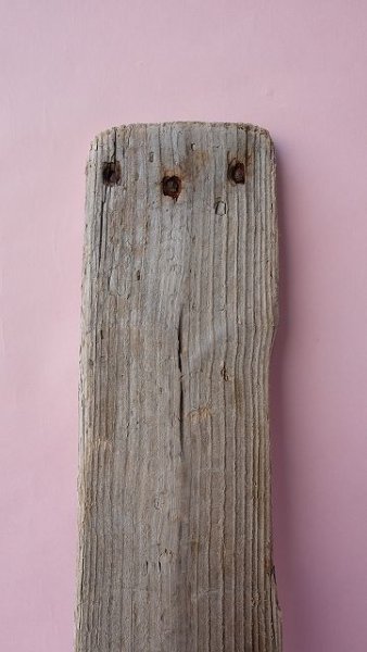 画像3: 板流木 (3)