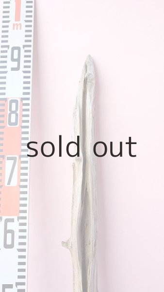 画像5: 枝流木 (5)