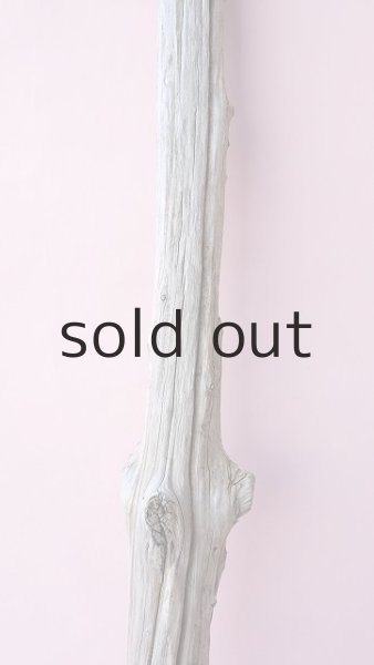 画像3: 枝流木 (3)