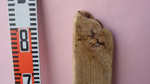 画像6: 板流木 (6)