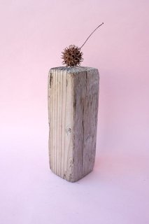 流木素材,アクアリウム用,工作用,インテリア,オブジェの流木販売