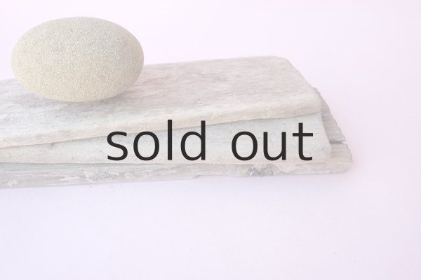 画像5: 板流木セット (5)