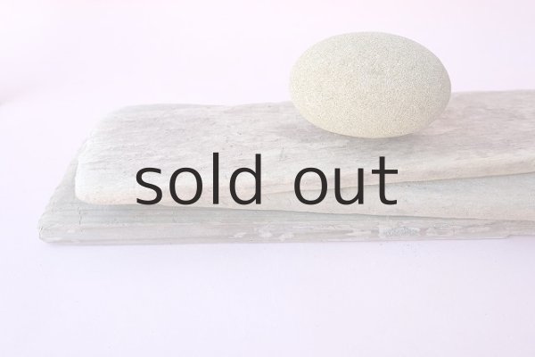 画像4: 板流木セット (4)