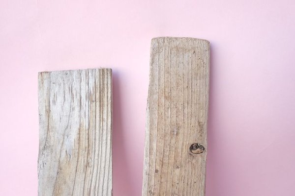 画像3: 板流木セット (3)