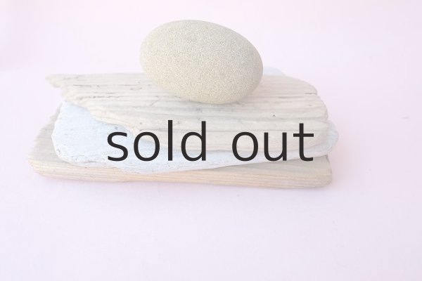 画像6: 板流木セット (6)