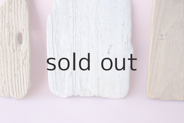 画像3: 板流木セット (3)