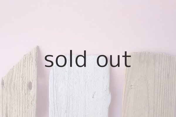 画像5: 板流木セット (5)