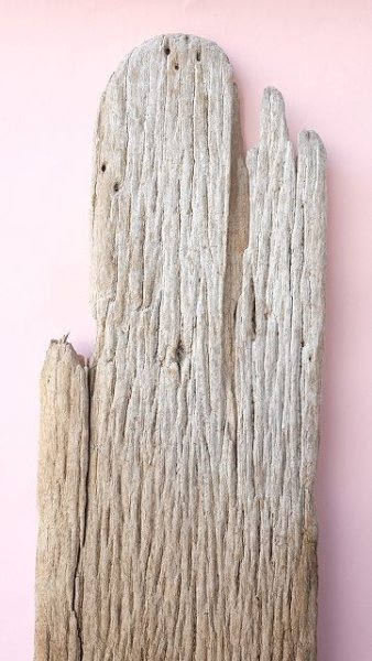 画像5: 板流木 (5)