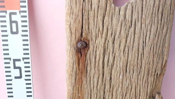 画像6: 板流木 (6)