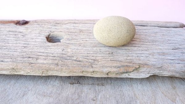 画像9: 板流木 (9)