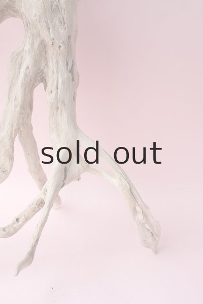 画像3: 流木根・中型 (3)