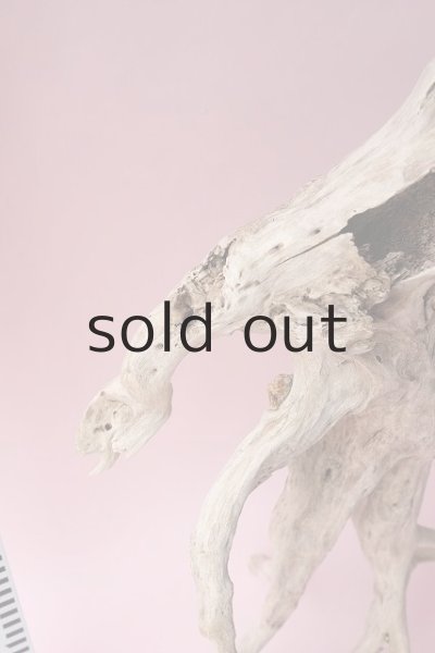 画像13: 流木根・中型 (13)