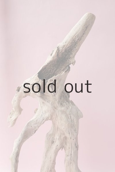 画像12: 流木根・中型 (12)