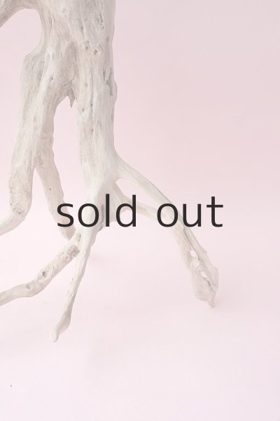 画像17: 流木根・中型 (17)