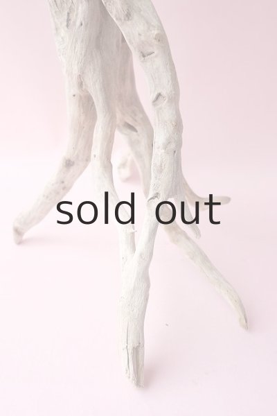 画像8: 流木根・中型 (8)