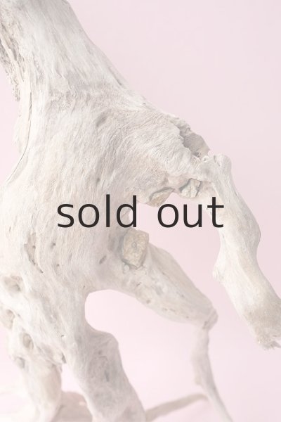 側部に石を抱いています。