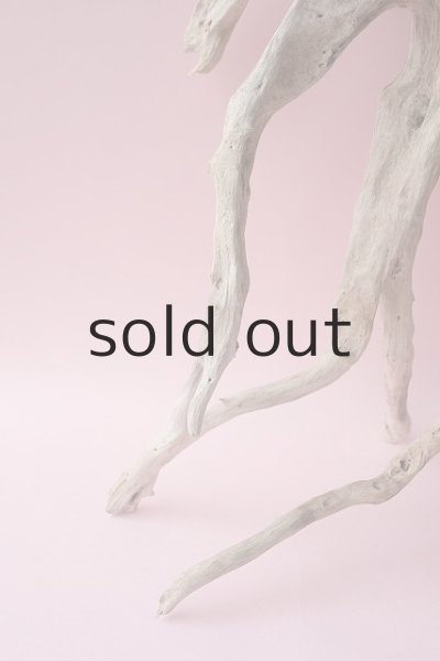 画像2: 流木根・中型 (2)