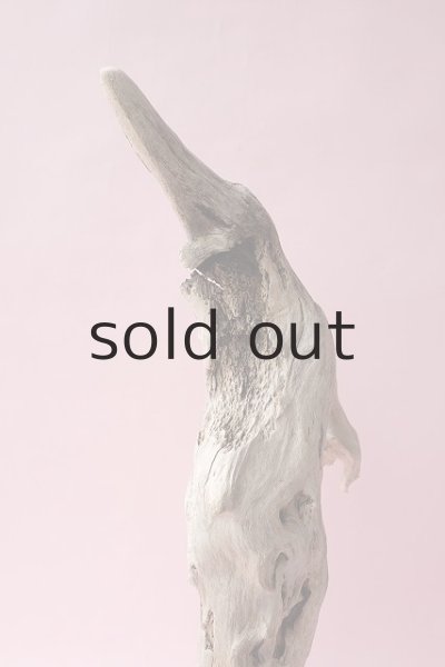 画像10: 流木根・中型 (10)