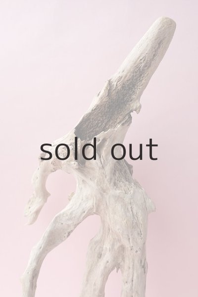 画像4: 流木根・中型 (4)