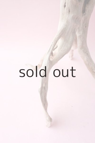 画像11: 流木根・中型 (11)