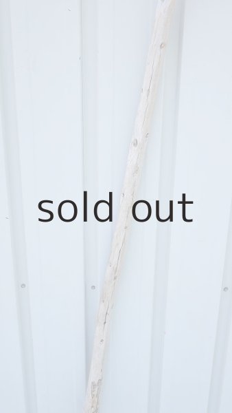 画像3: 棒流木・長尺 (3)