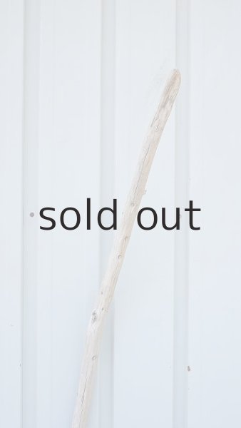 画像4: 棒流木・長尺 (4)