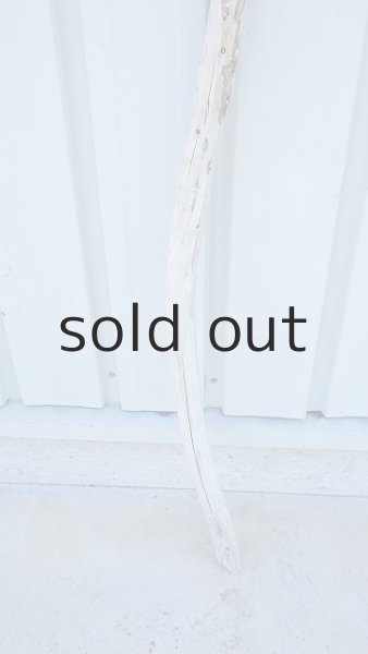 画像2: 棒流木・長尺 (2)