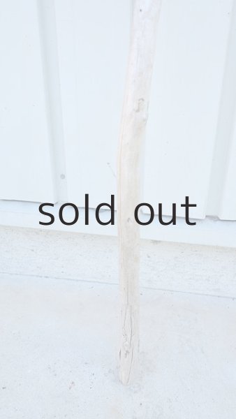 画像2: 棒流木 (2)