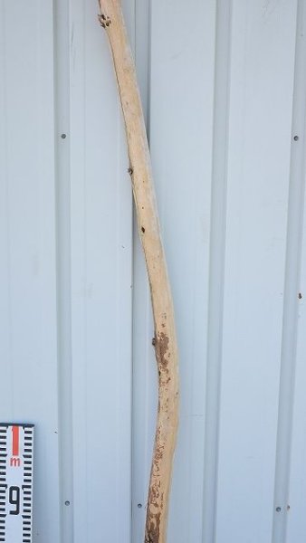 画像8: 大型 棒 (8)