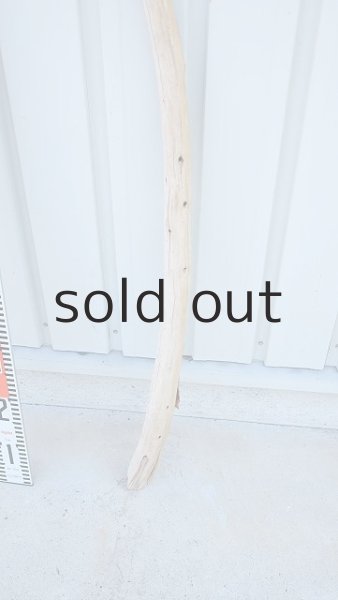 画像5: 棒流木（outlet） (5)