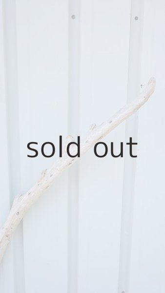 画像4: 棒流木（outlet） (4)